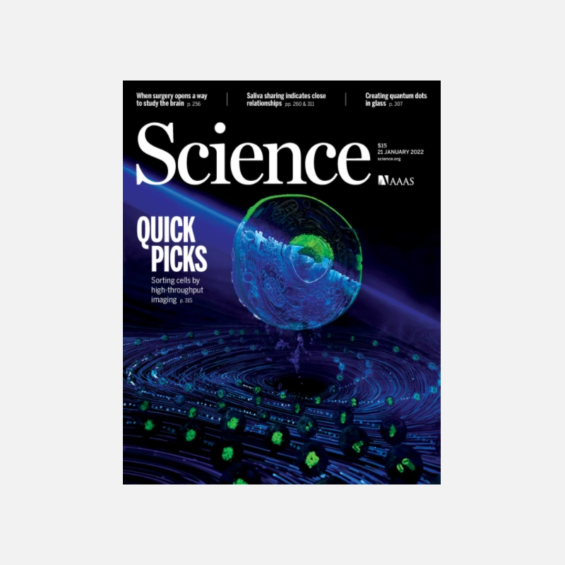 Enterprise - Imagem 2