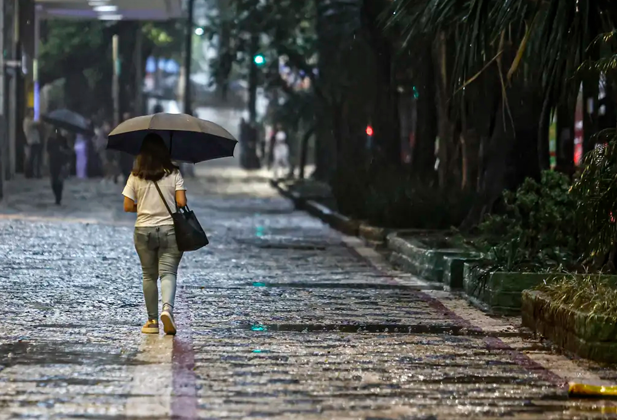 Chuva, vento e temporais devem atingir o Sul e Sudeste do país nos próximos dias