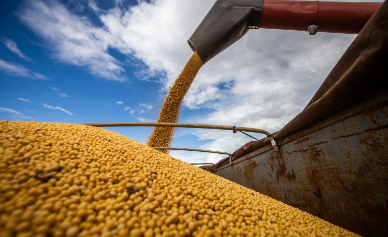 Rio Grande do Sul poderá ter safra recorde de grãos