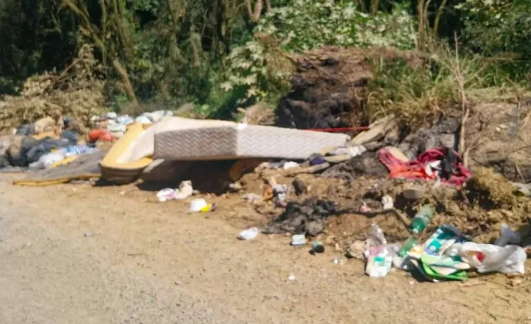 Mutirão de Limpeza Combate Descarte Irregular no Belém Novo