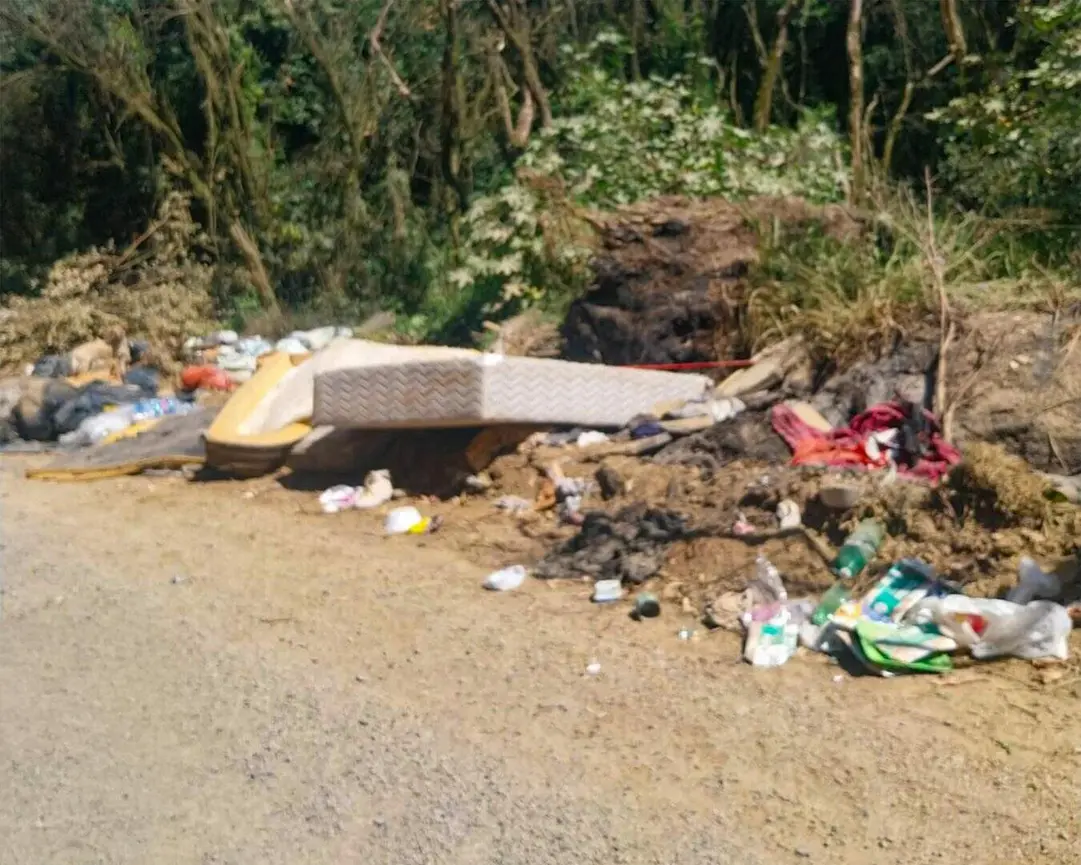Mutirão de Limpeza Combate Descarte Irregular no Belém Novo