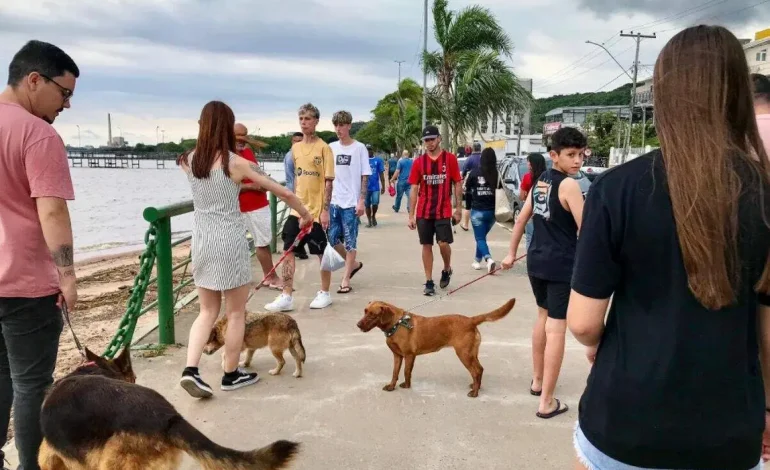 Evento em Guaíba promove Cãominhada para ajudar cães comunitários e oferece atrações culturais