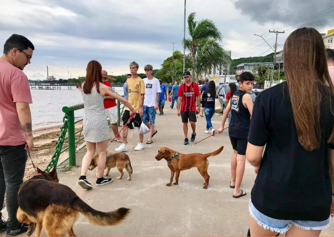 Evento em Guaíba promove Cãominhada para ajudar cães comunitários e oferece atrações culturais