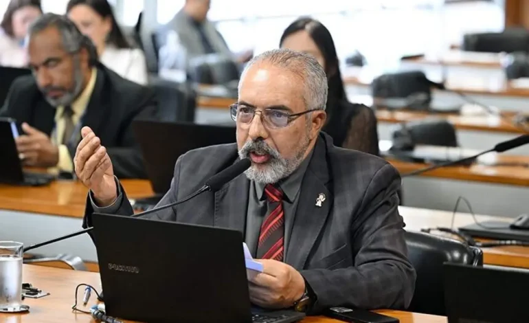 Estatuto dos Cães e Gatos: direitos, deveres e punições para proteção animal