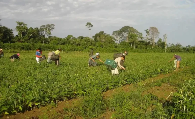 Rio Grande do Sul prorroga prazo para uso de talão de produtor rural até abril de 2026