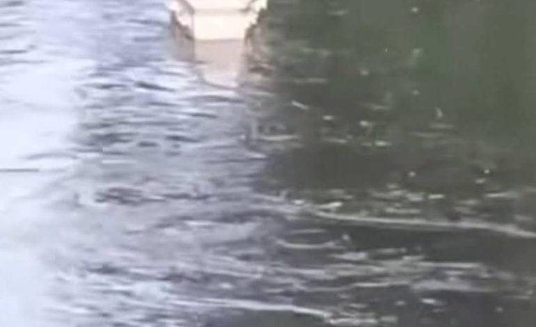 Caixão foi flagrado boiando em arroio, em Gravataí