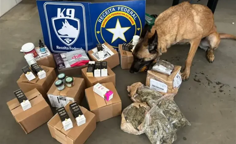 Receita Federal apreende maconha ‘camarão’ avaliada em R$ 100 mil na Grande Porto Alegre