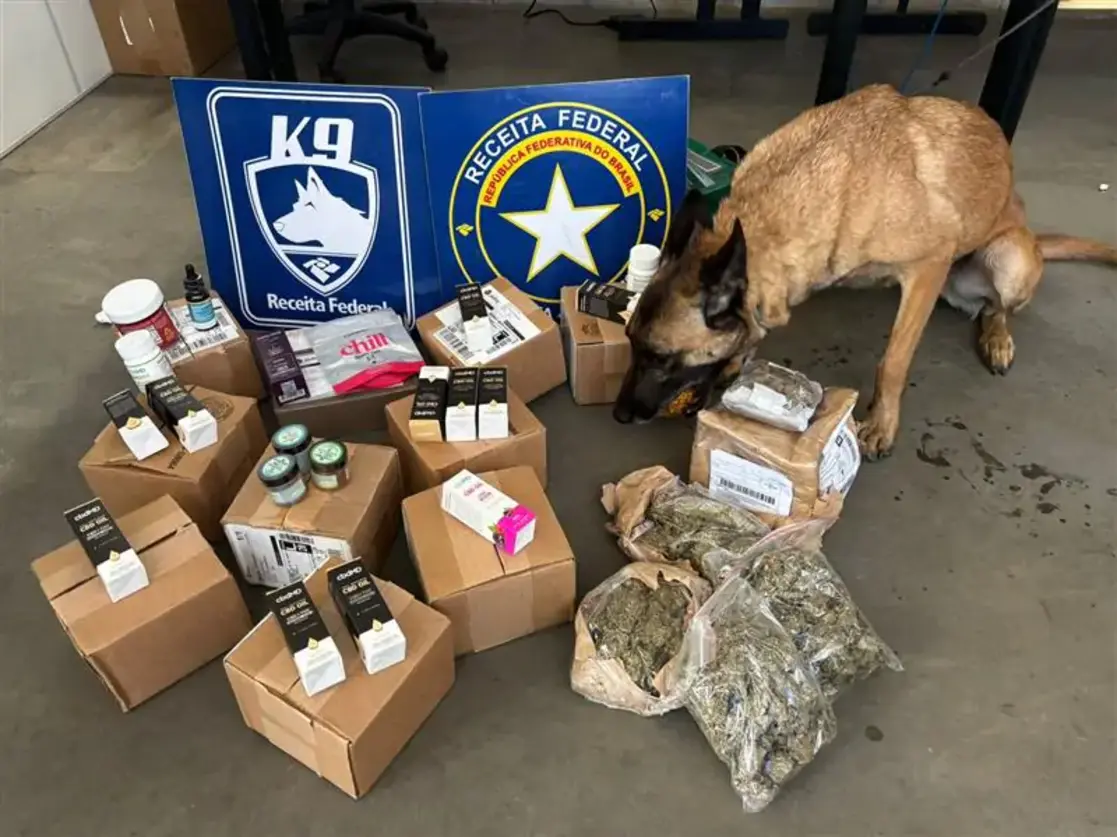 Receita Federal apreende maconha ‘camarão’ avaliada em R$ 100 mil na Grande Porto Alegre