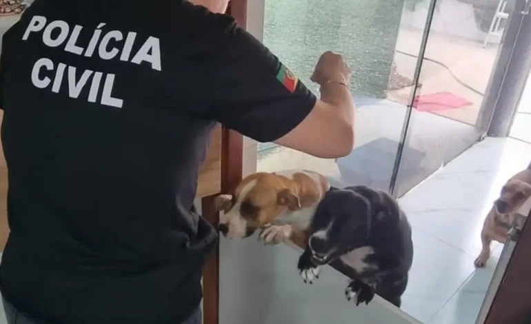 Polícia Civil intensifica fiscalização contra maus-tratos a animais em Osório