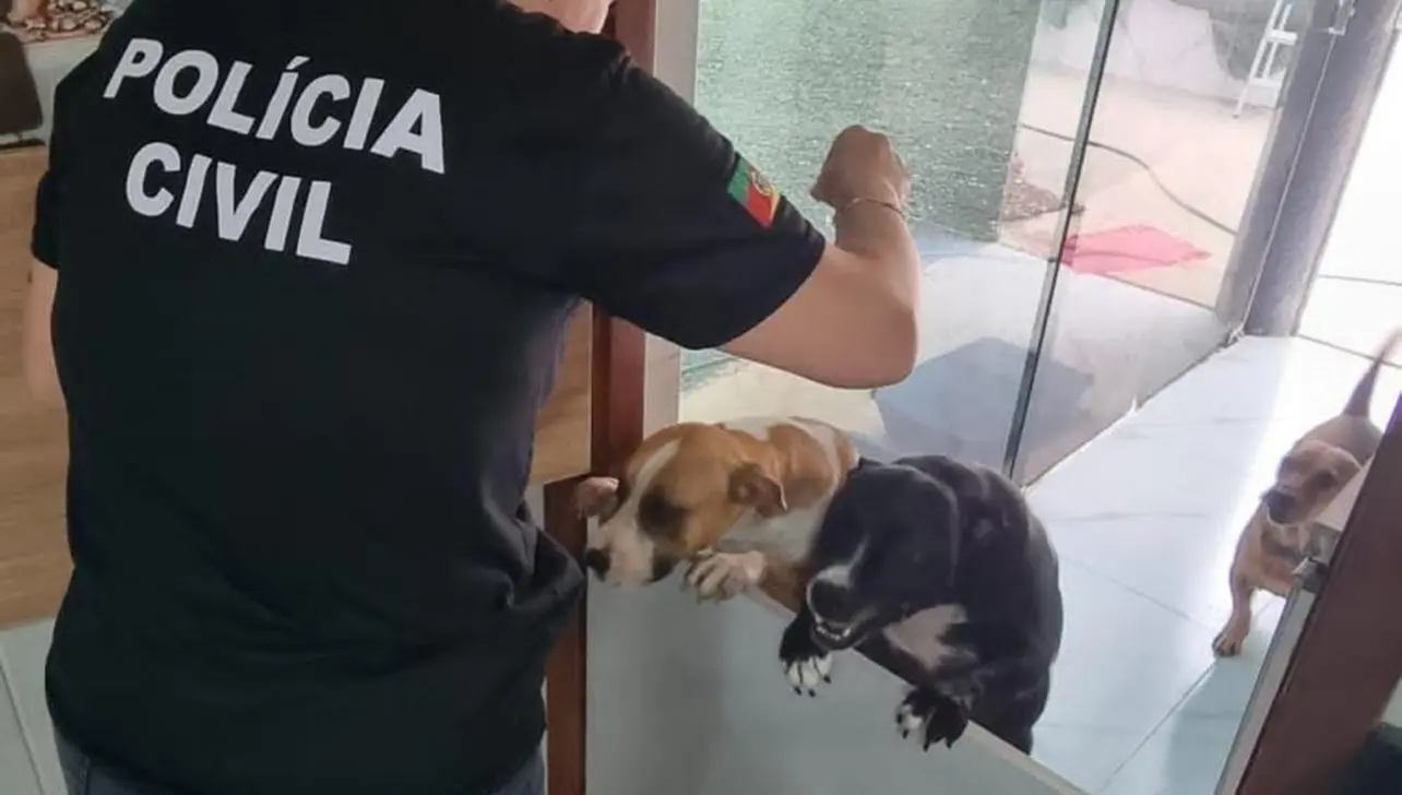 Polícia Civil intensifica fiscalização contra maus-tratos a animais em Osório