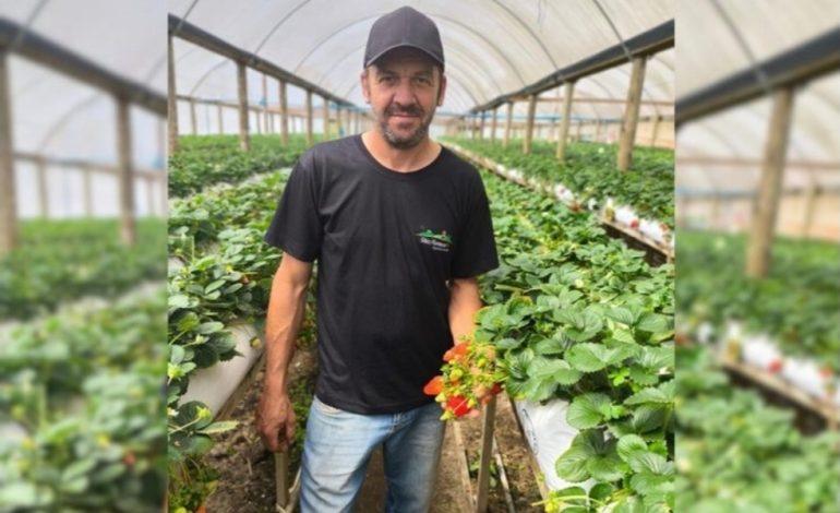 Agricultor morre durante ação da Brigada Militar em Pelotas