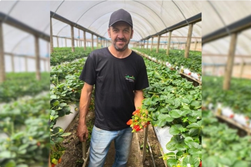 Agricultor morre durante ação da Brigada Militar em Pelotas