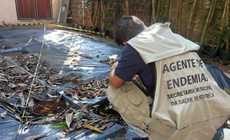 Dengue: Estrela e Lajeado intensificam combate ao mosquito Aedes aegypti