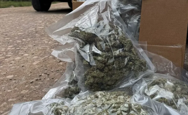 Casal é preso com grande variedade de drogas na Serra Gaúcha