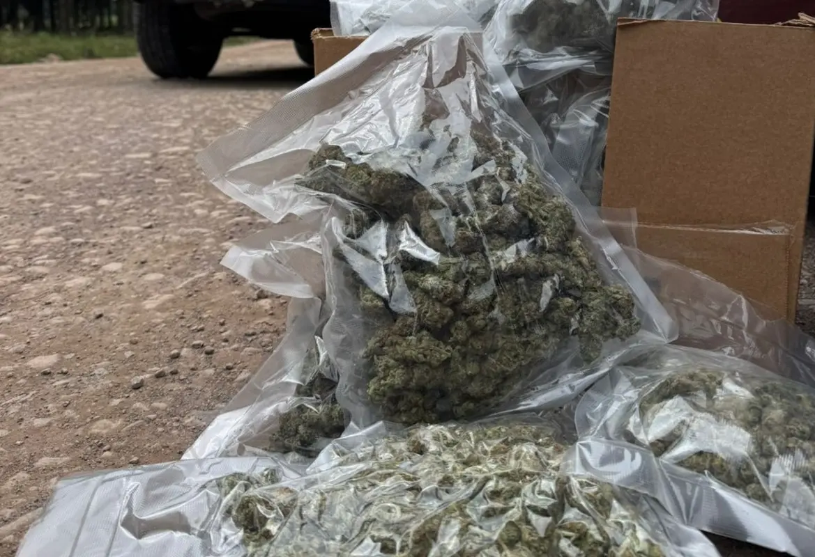 Casal é preso com grande variedade de drogas na Serra Gaúcha