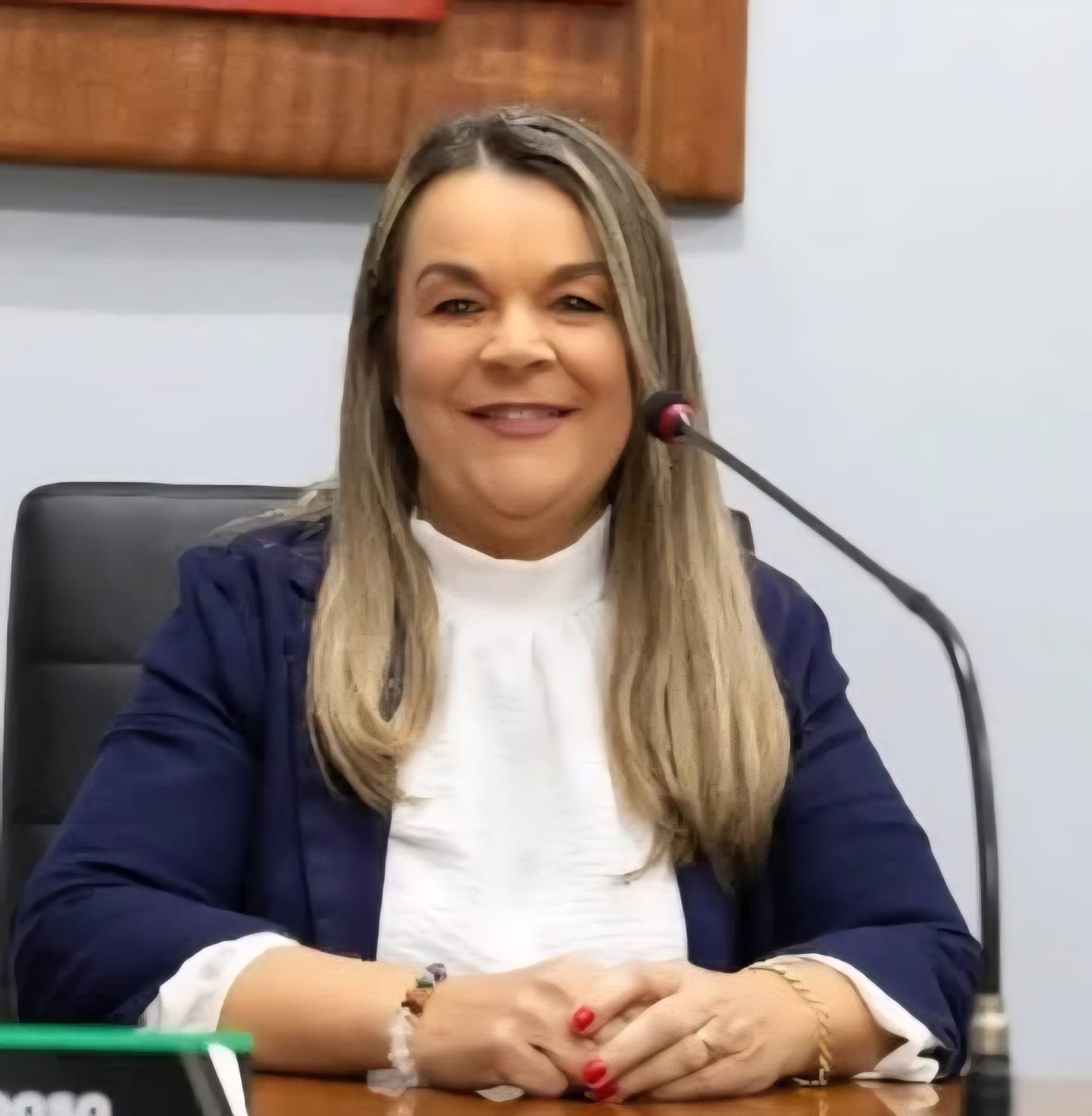 Justiça afasta vereadora de Encantado por 60 dias e Câmara divulga nota oficial