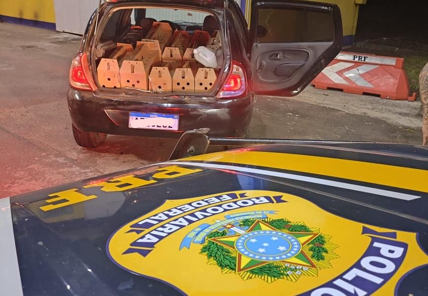 PRF prende dupla transportando galos de rinha