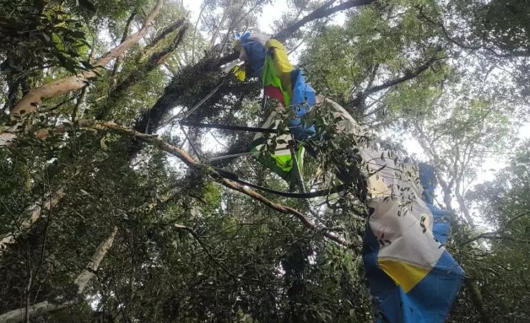 Ultraleve cai em área de mata e mata piloto em Guaporé