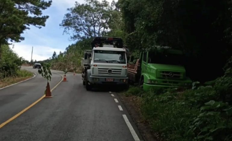Caminhão perde freios na ERS-435 e motorista evita acidente ao jogar veículo em barranco