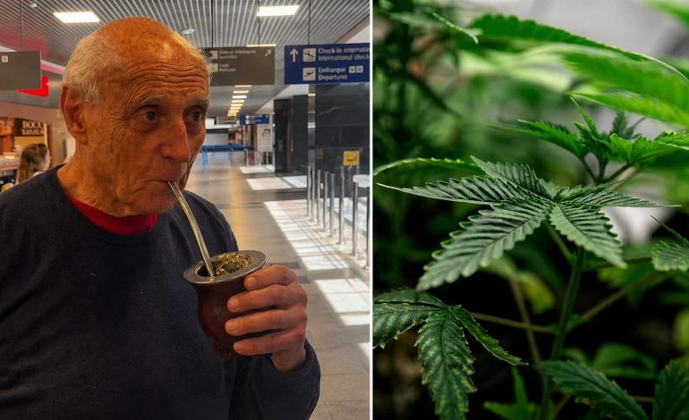 Chimarrão terapêutico com cannabis chama atenção após visita de Suplicy ao RS