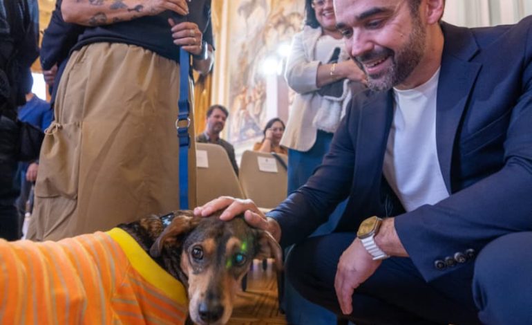 Governo do RS sanciona lei que cria fundo estadual de proteção animal