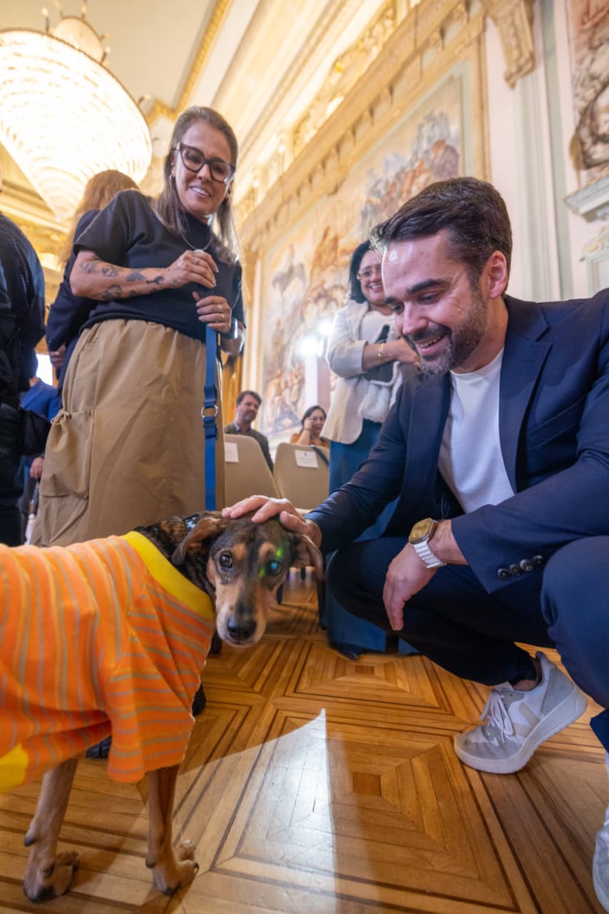 Governo do RS sanciona lei que cria fundo estadual de proteção animal
