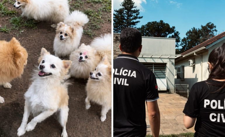 Canil com mais de 200 cães e gatos de raça é interditado no RS; responsáveis são presos por maus-tratos