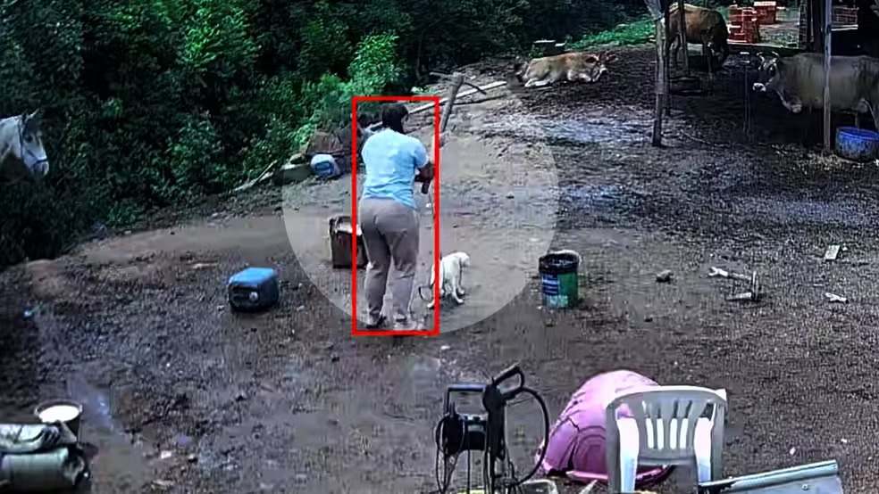 Mulher é presa após matar cachorro com picareta em Porto Alegre