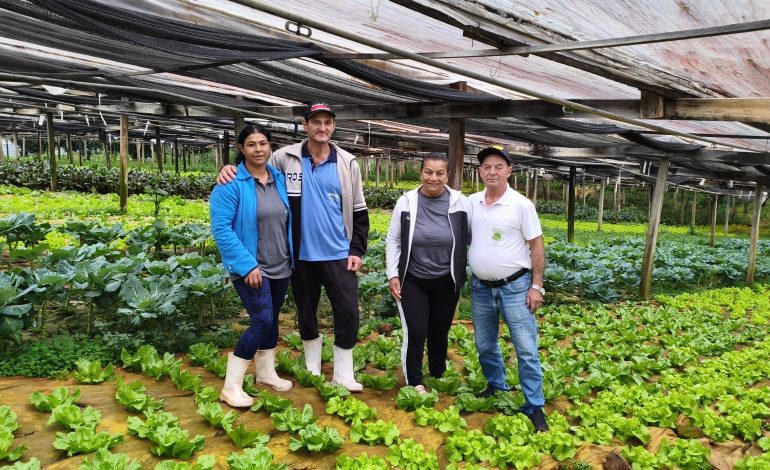 Dedicação à terra e qualidade marcam a trajetória da Hortaliças Sfoglia