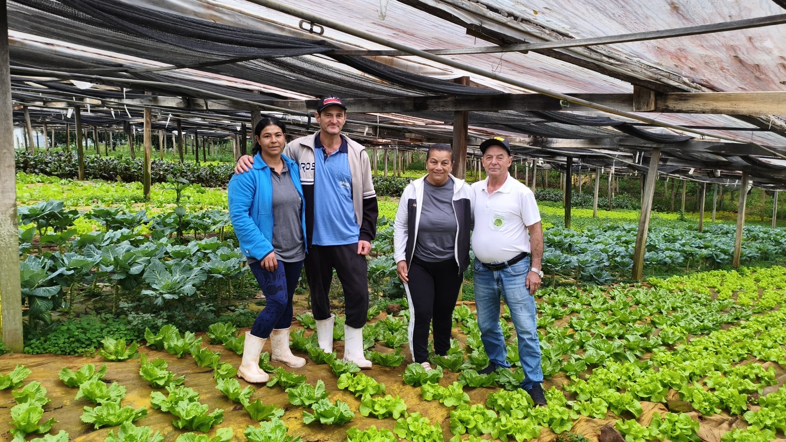 Dedicação à terra e qualidade marcam a trajetória da Hortaliças Sfoglia