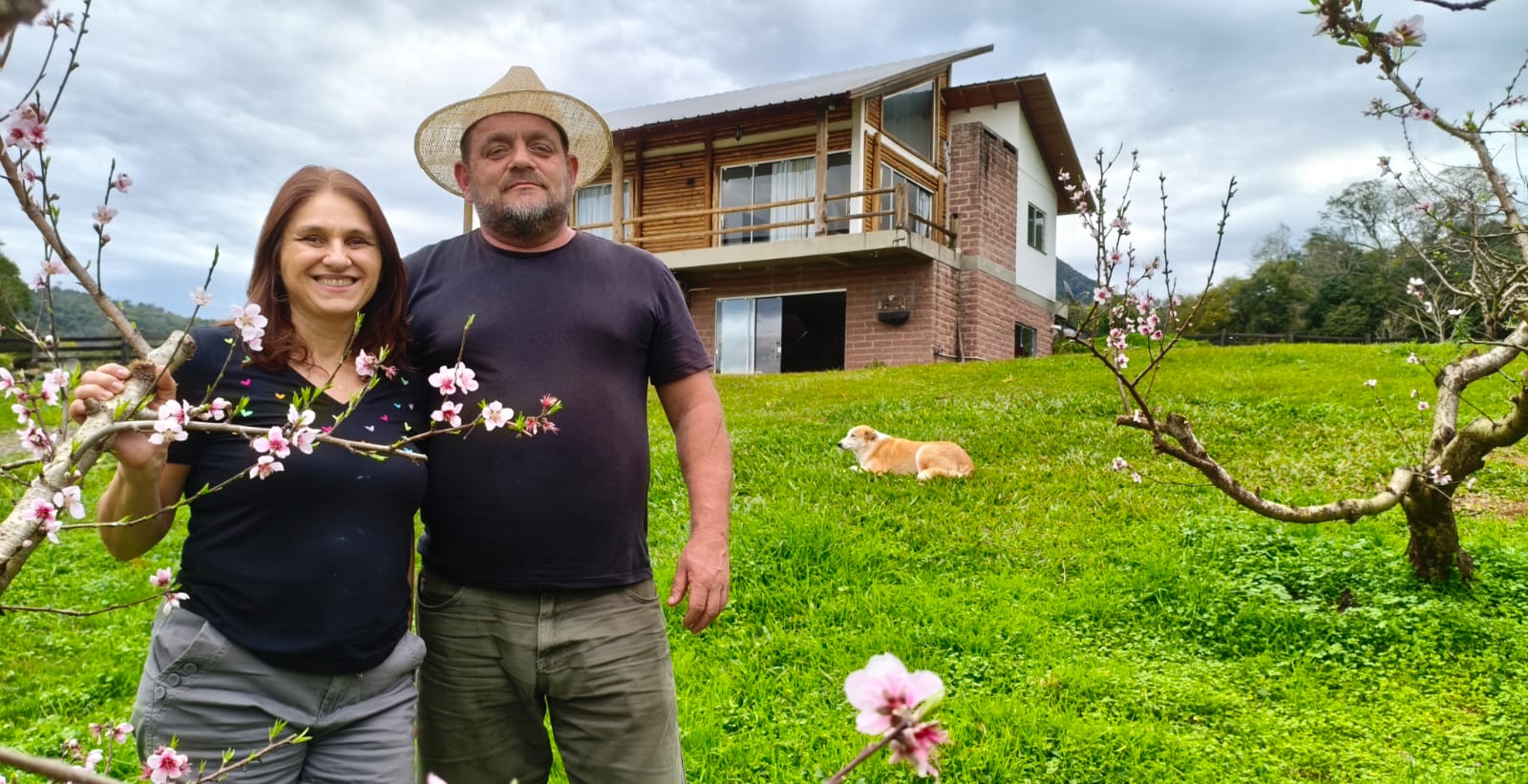 Entre vinhedos e memórias: propriedade em Palmas transforma a colheita da uva em experiência turística